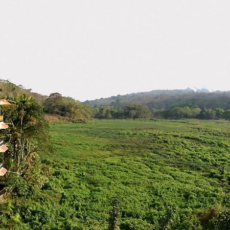 Jungle Palace Homestay 테카디 외부 사진