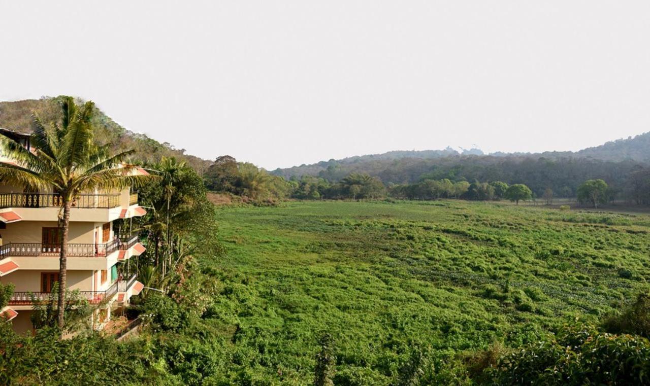 Jungle Palace Homestay 테카디 외부 사진