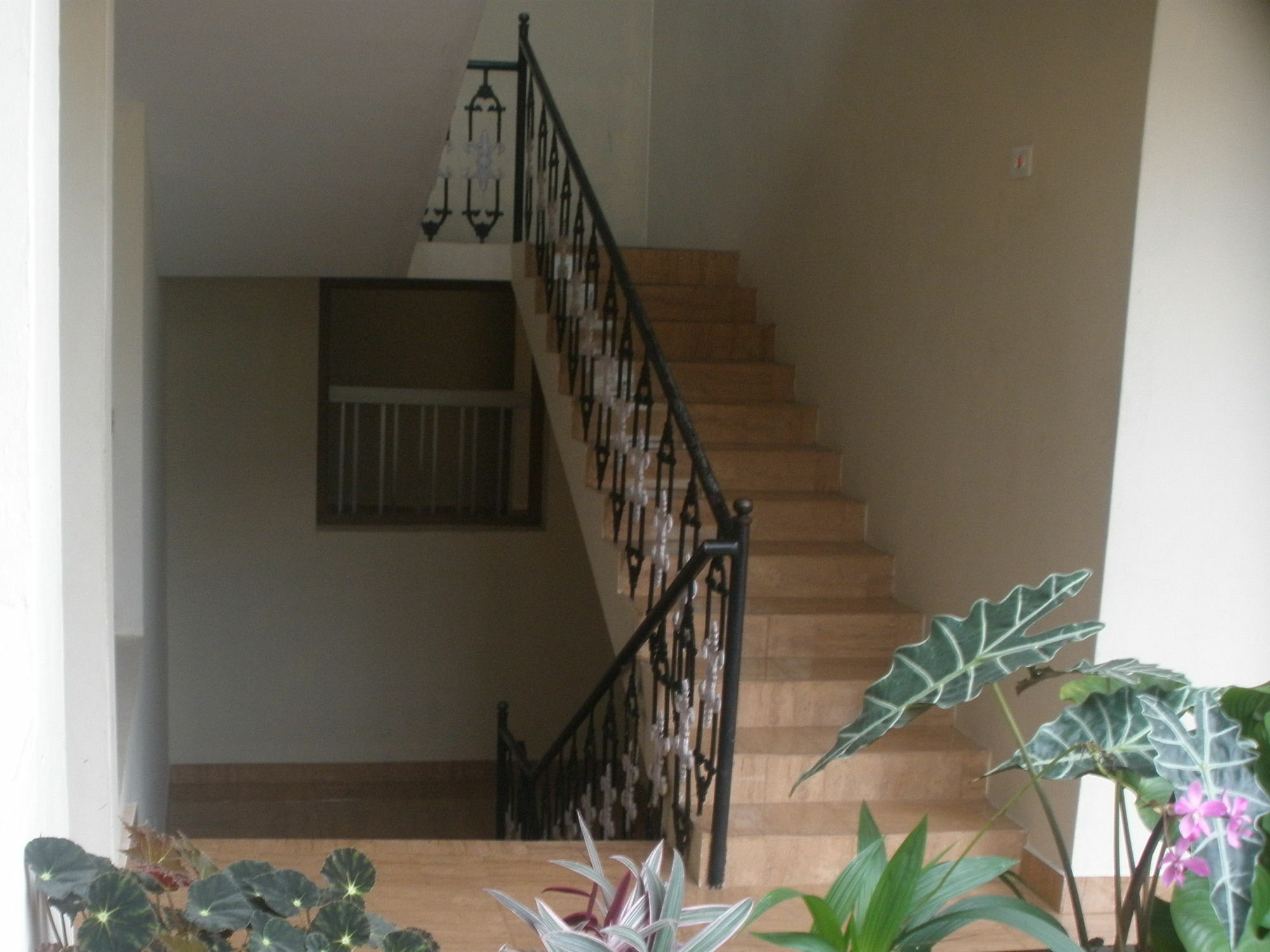 Jungle Palace Homestay 테카디 외부 사진